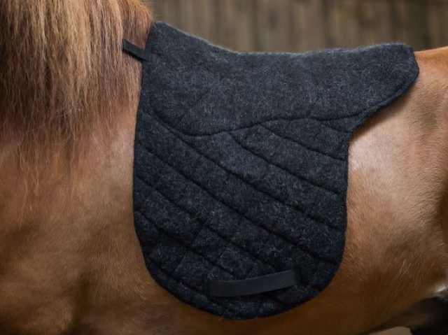 Saddle Pads & Rugs