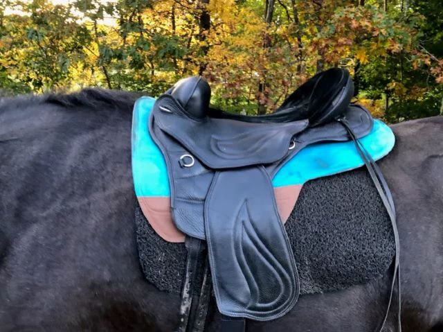 Western & Endurance Saddles